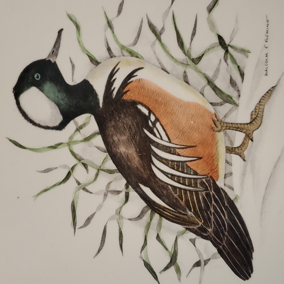 Vintage 1961 Duck by Delano Studios Decorative Plate - Picture 3 of 6